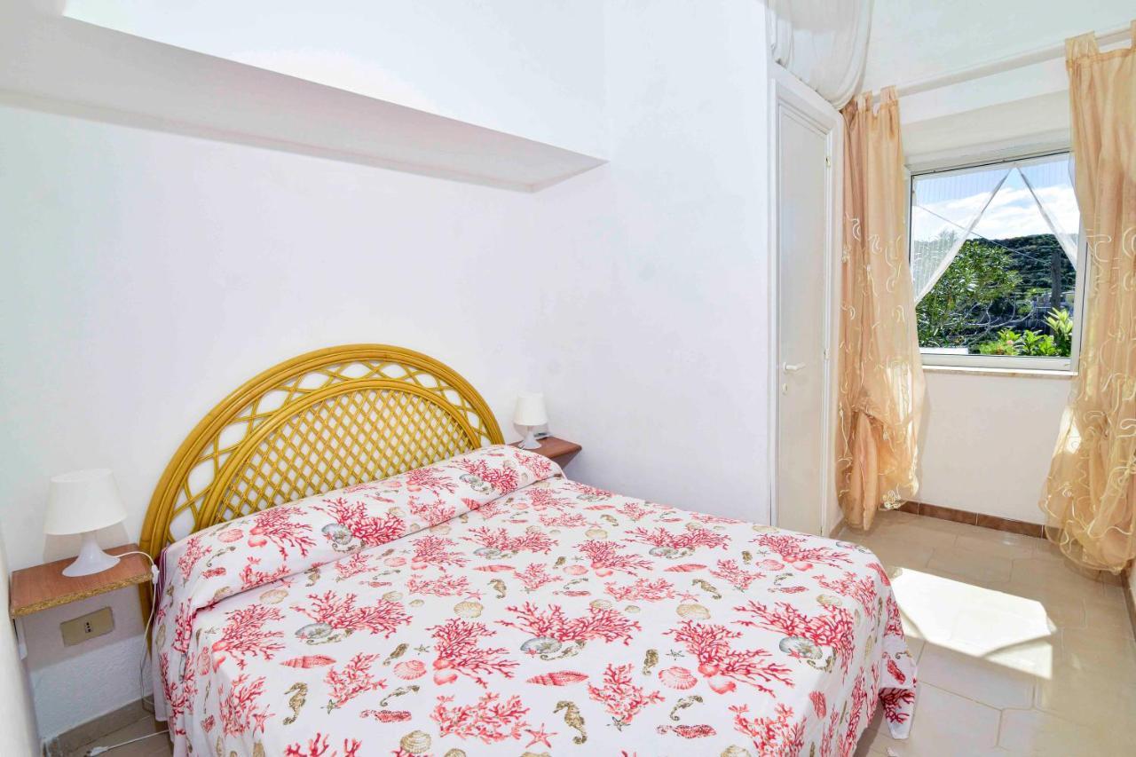 Solemareponza Casa Bougainvillea ภายนอก รูปภาพ